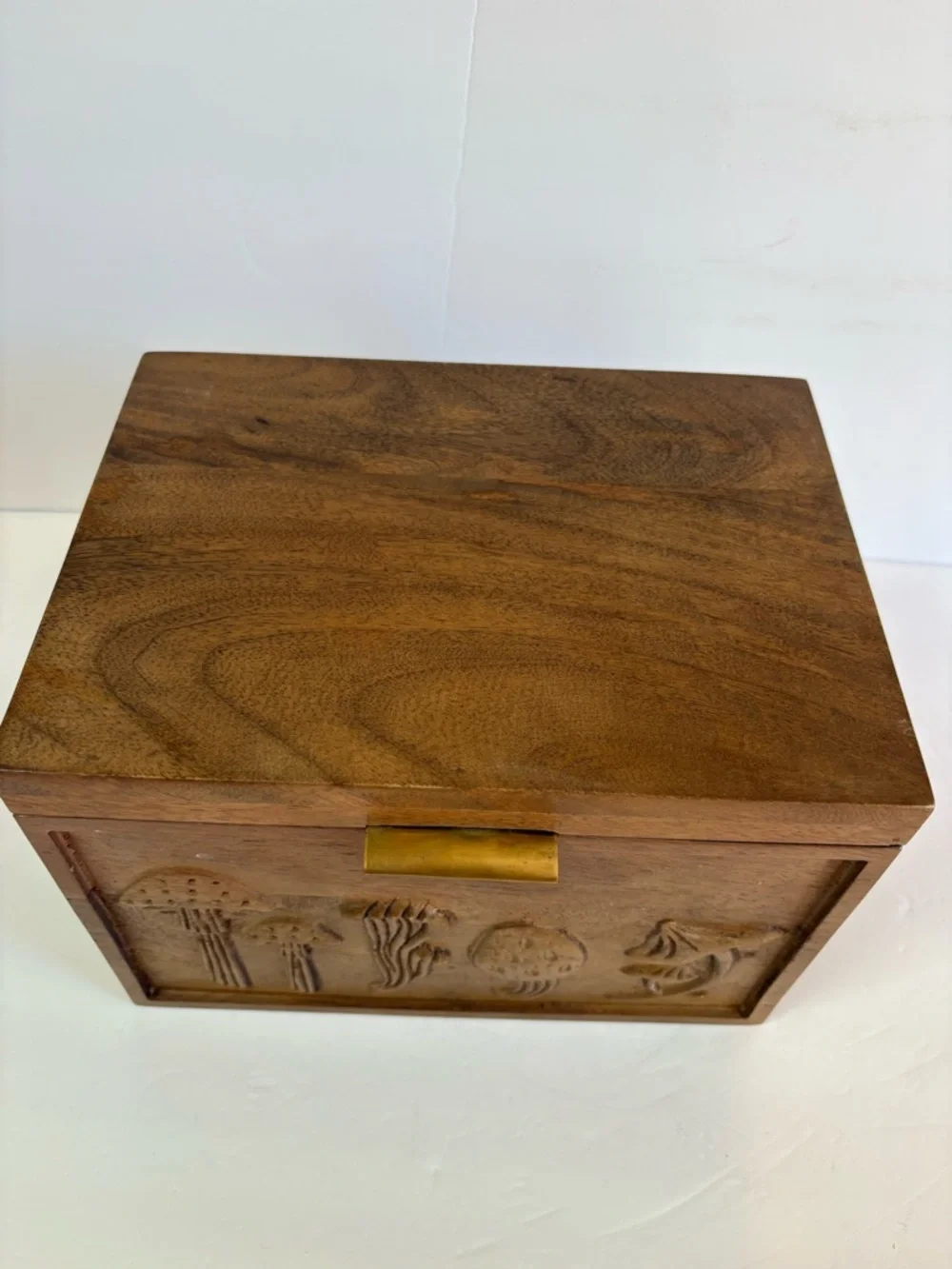 NWT Anthropologie Terrain Mushroom Seed Storage Box